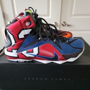 Nike LeBron XII "What The" Size 11